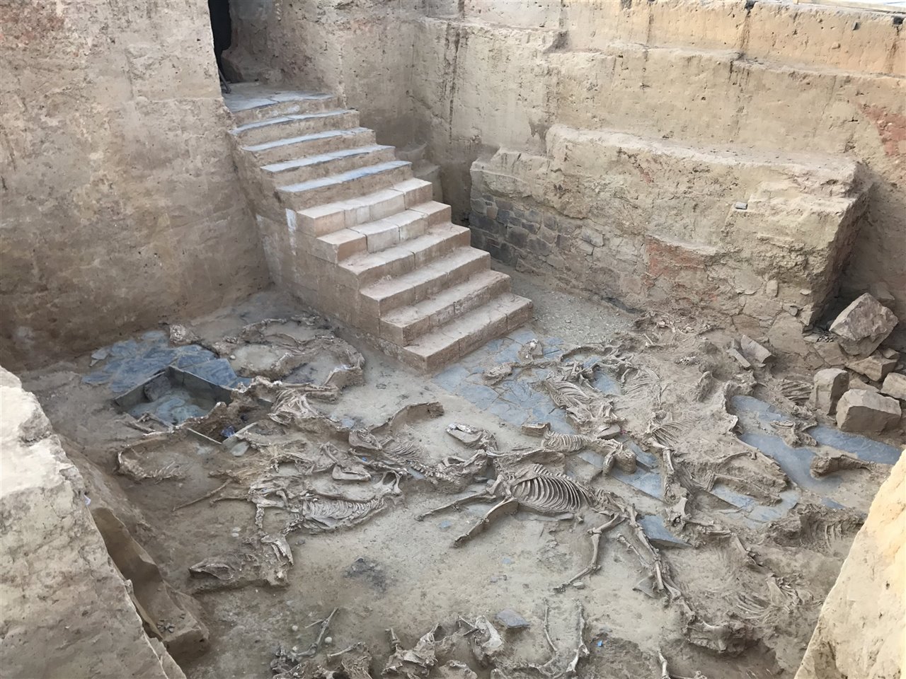 El Turuñuelo: uno de los descubrimientos más importantes de la arqueología  mediterránea