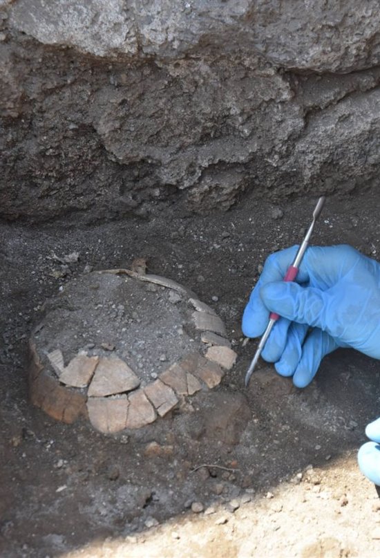 Desenterrada una tortuga con un huevo dentro en Pompeya