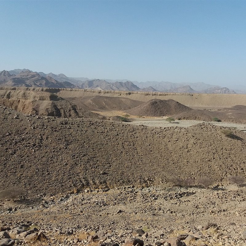 El Pleistoceno en Eritrea: animales, plantas y herramientas de un millón de años