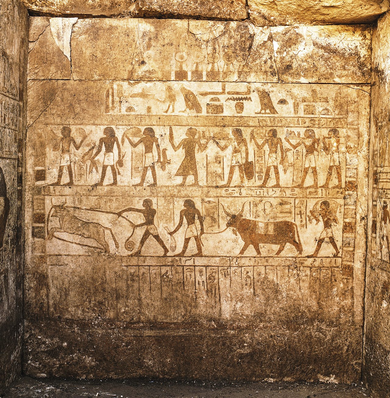 Excavaciones en Heracleópolis Magna