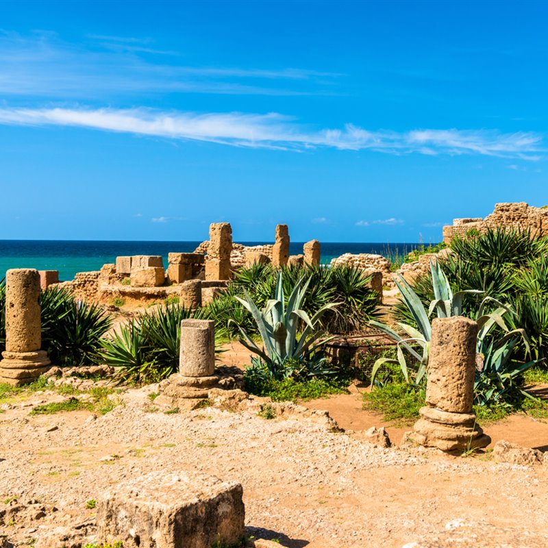 El amenazado patrimonio arqueológico de Tipasa, en Argelia
