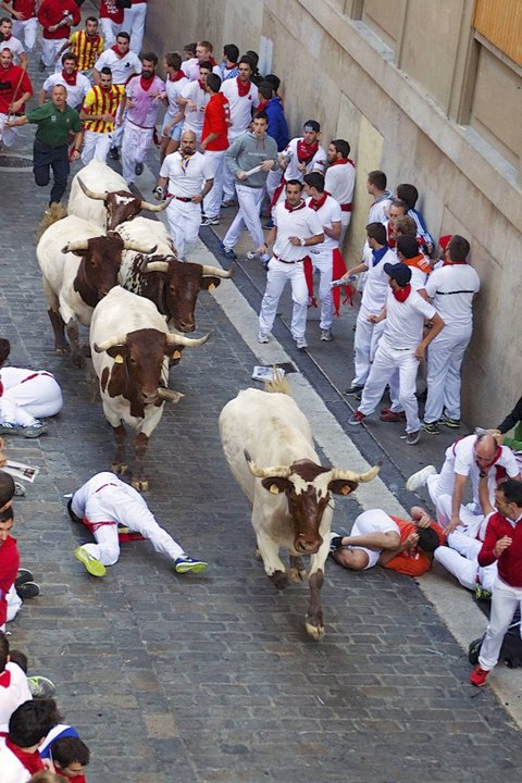 San Ferm n 2024 cu l Es Su Origen Y C mo Se Celebra San Ferm n 2024 cu l Es Su Origen Y C mo Se Celebra