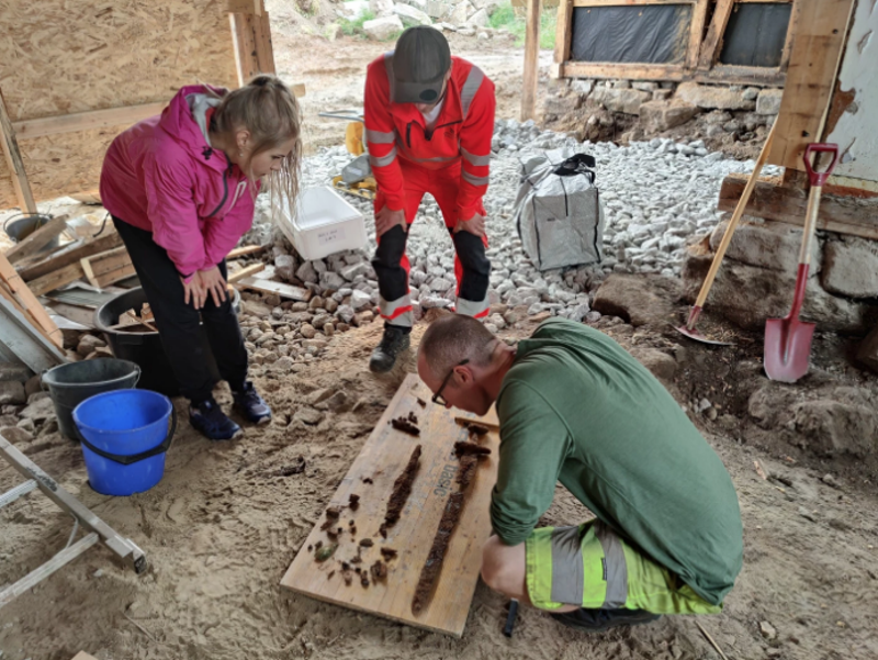 Descubren un tesoro vikingo en el jardín de una casa en Noruega