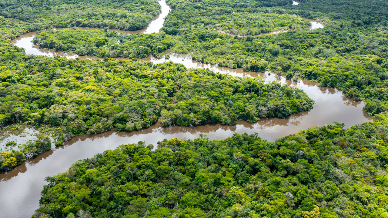 La exploración del Amazonas: la gran odisea de Francisco de Orellana