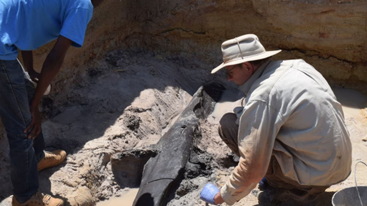 Descubren una construcción de madera de 476.000 años de antigüedad en Zambia