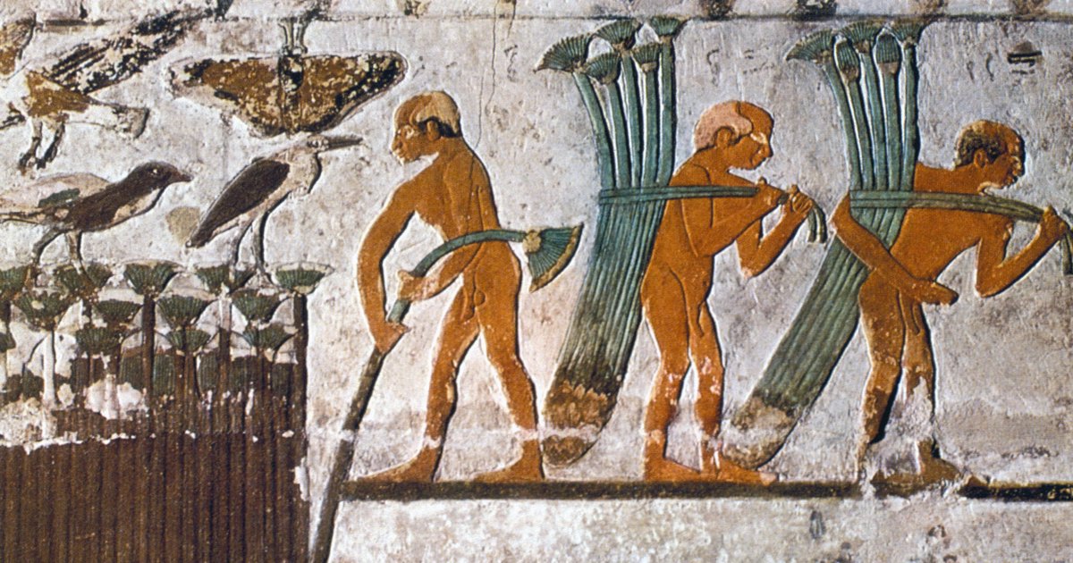 Papiro, el material de los faraones