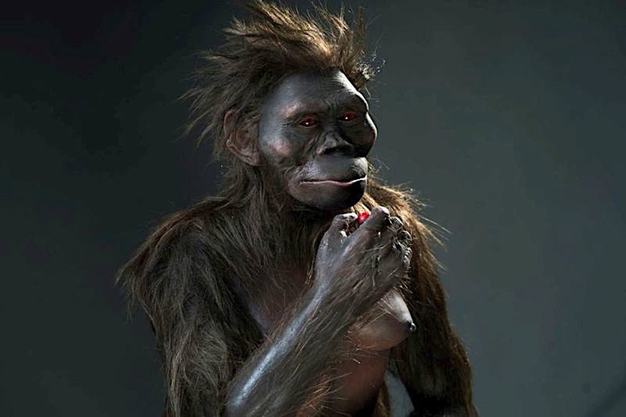 Realizan Un Modelo 3D De Lucy El Ancestro Humano M s Famoso