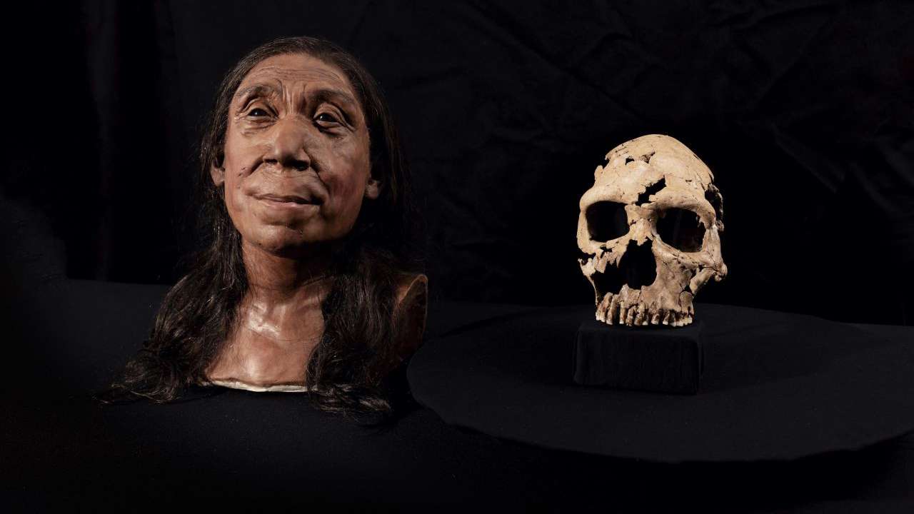 Hay un problema en la idealización del rostro reconstruido de Shanidar Z, la mujer neandertal