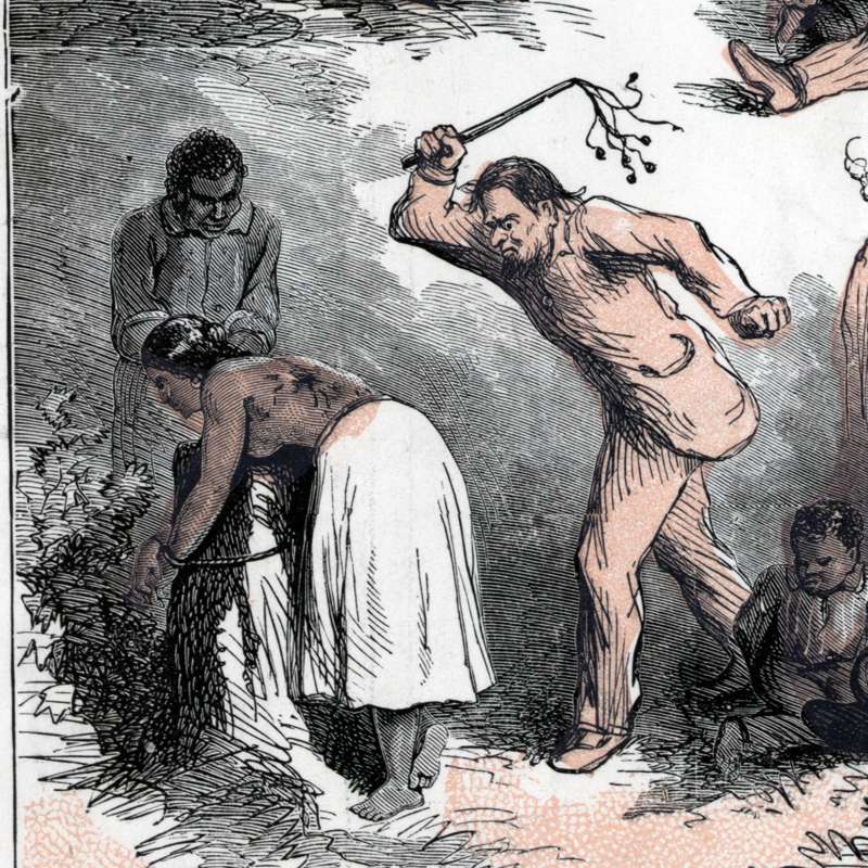 Amos y esclavos: ¿cómo era la vida en una plantación de algodón?