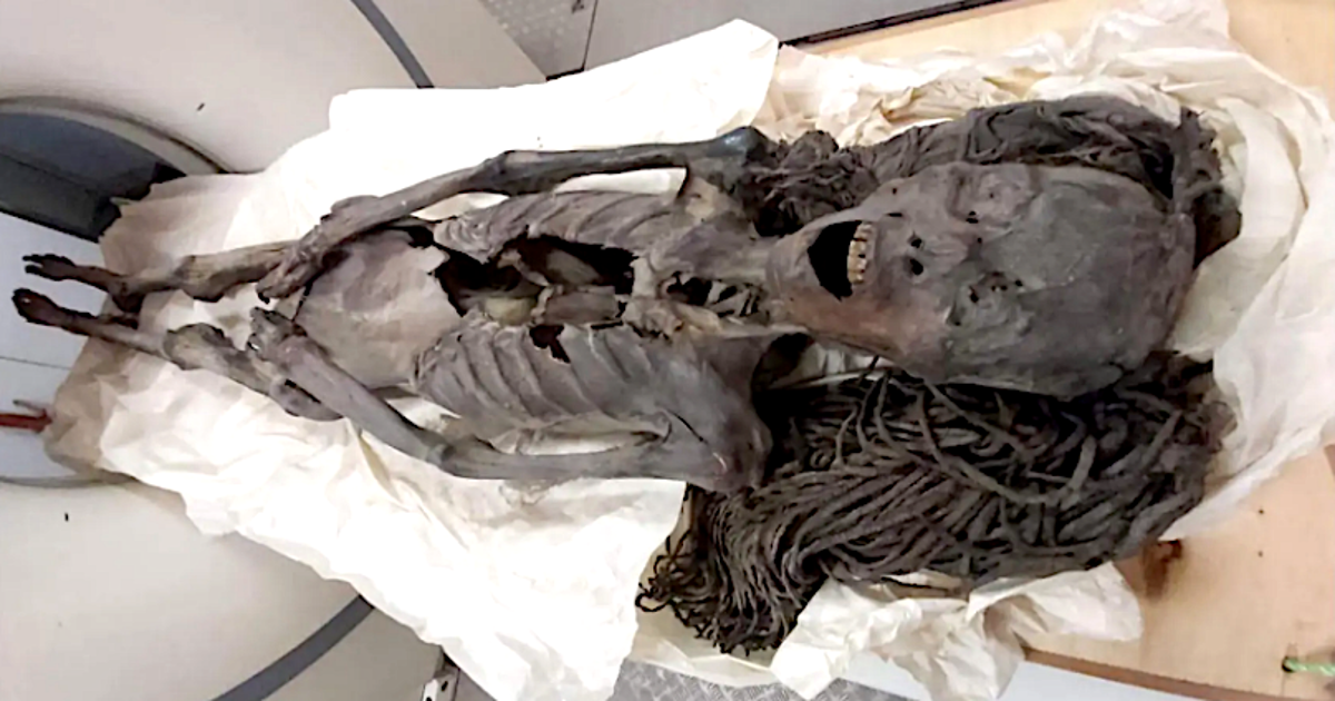 La momia de la "Mujer que grita" desvela sus secretos 3.500 años después de su muerte