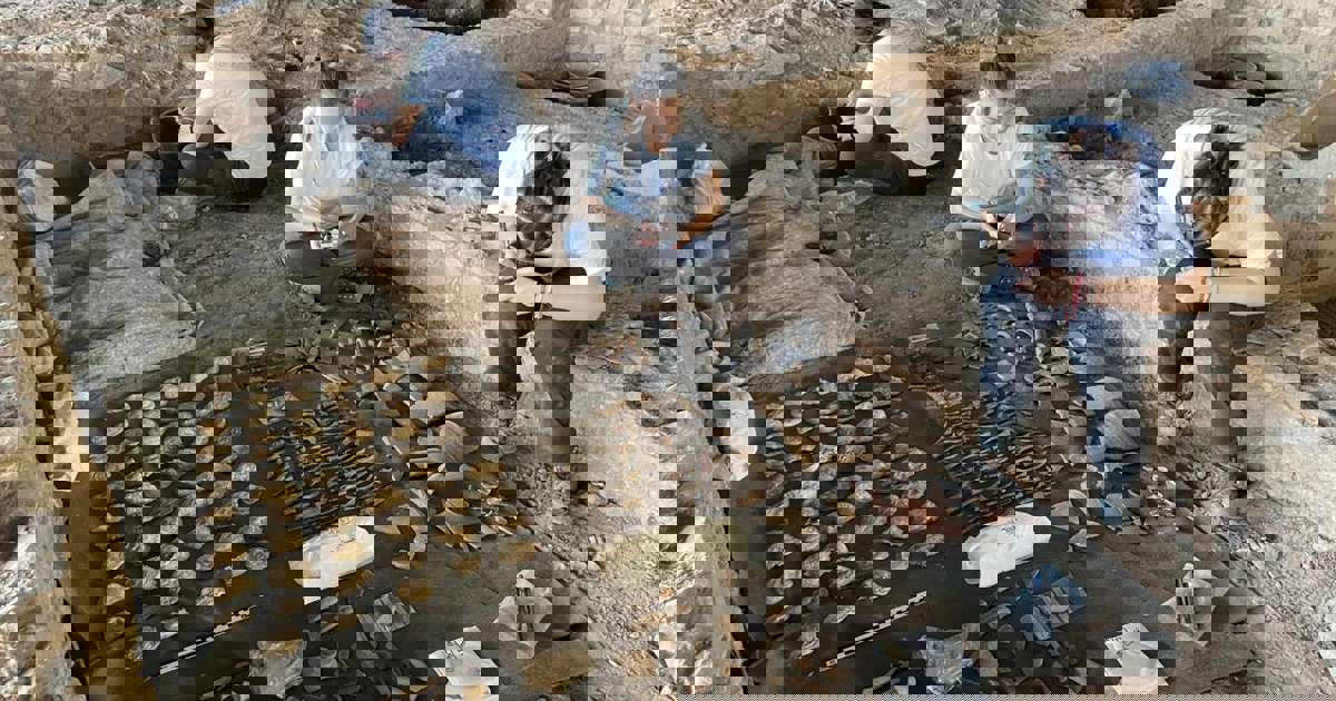 Descubren un banquete de ostras en lo que podría haber sido un "piso turístico" romano