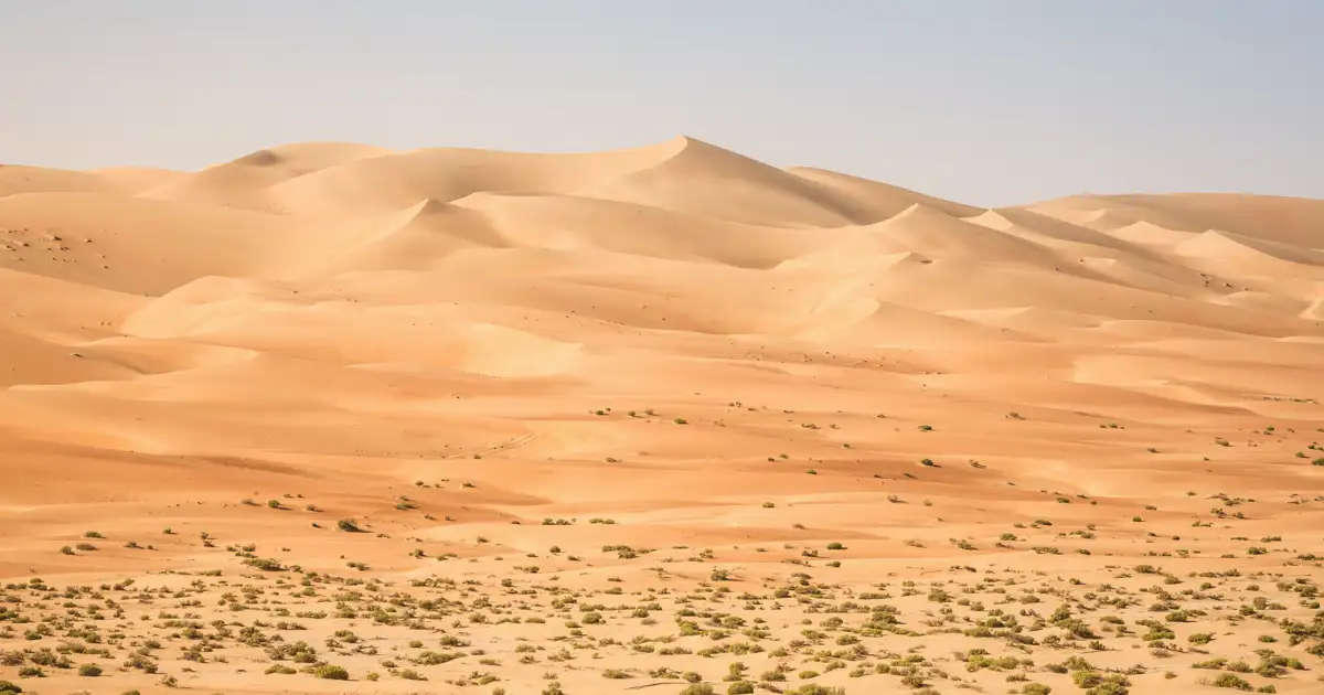 La Inteligencia Artificial está ayudando a encontrar sitios arqueológicos en los lugares menos pensados