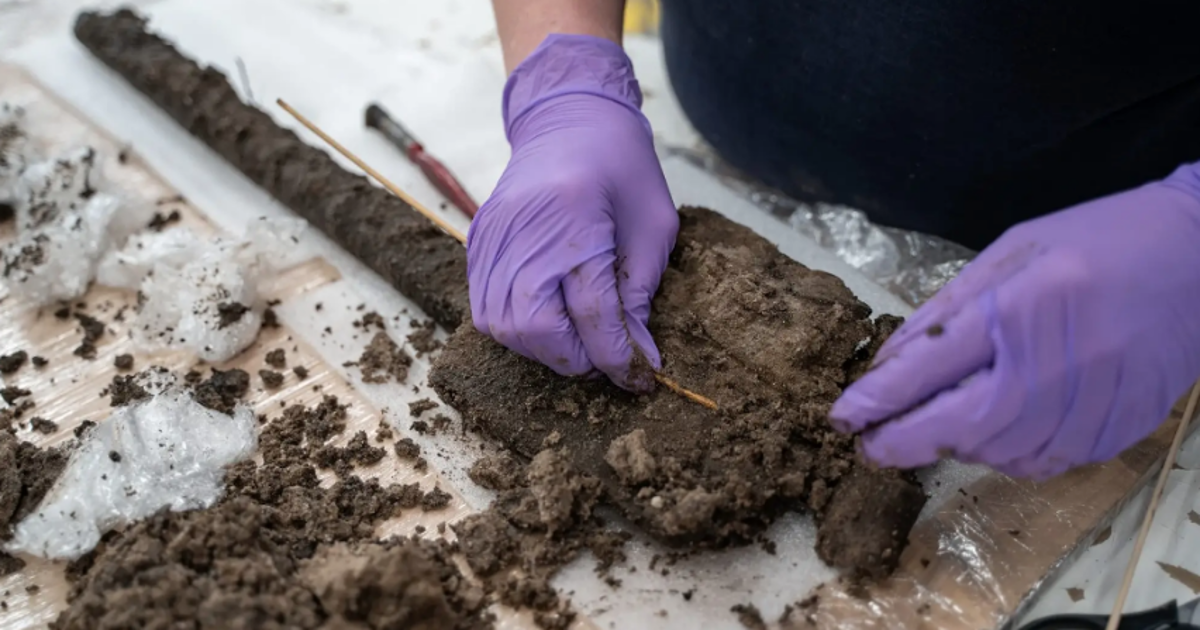 Descubren una pala de la Edad del Bronce durante unas excavaciones en Gran Bretaña  