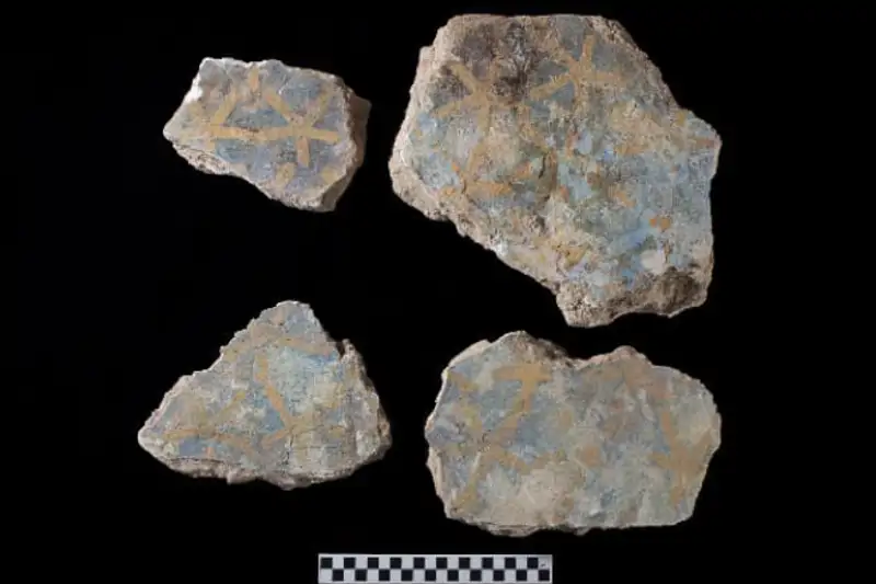 Algunos de los fragmentos de estuco con restos de policromía original procedentes de la tumba de Tutmosis II.