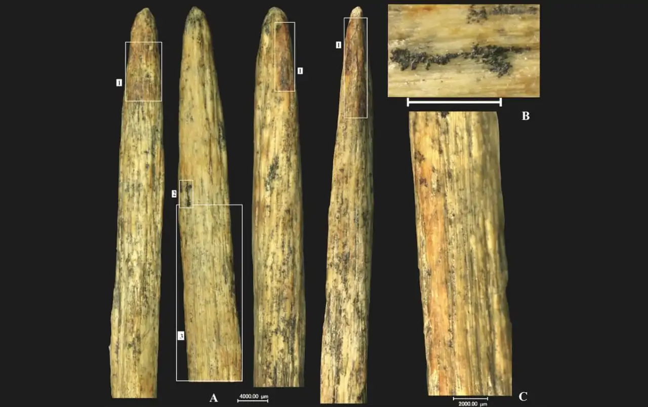 Cuatro imágenes de la punta de lanza, en las que puede verse una coloración marrón rojiza (1) y residuos de brea (2).
