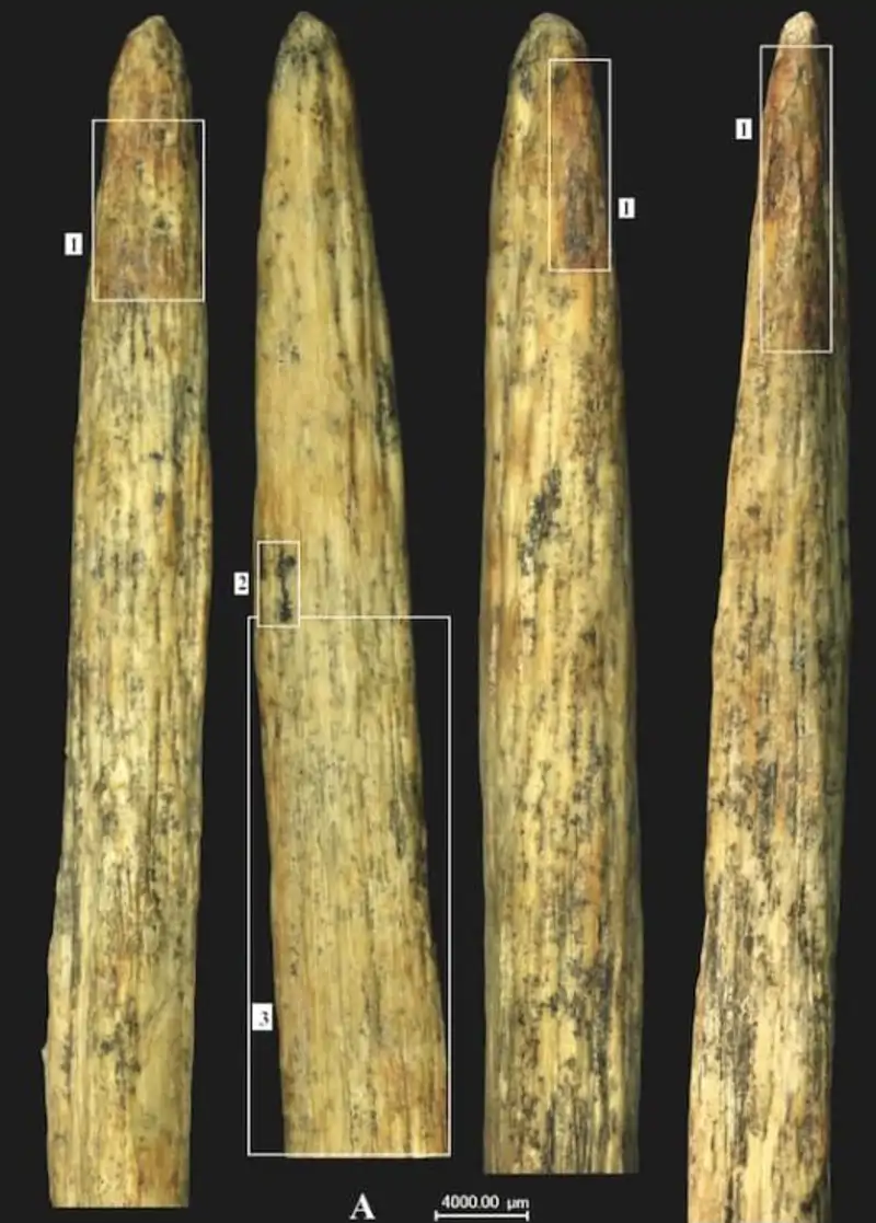 Diversas imágenes de la punta de lanza neandertal descubierta en una cueva de Rusia.