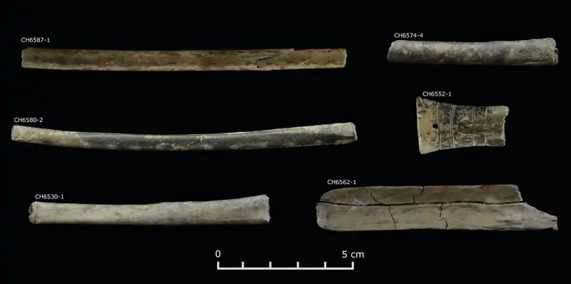 ancient andes society 1