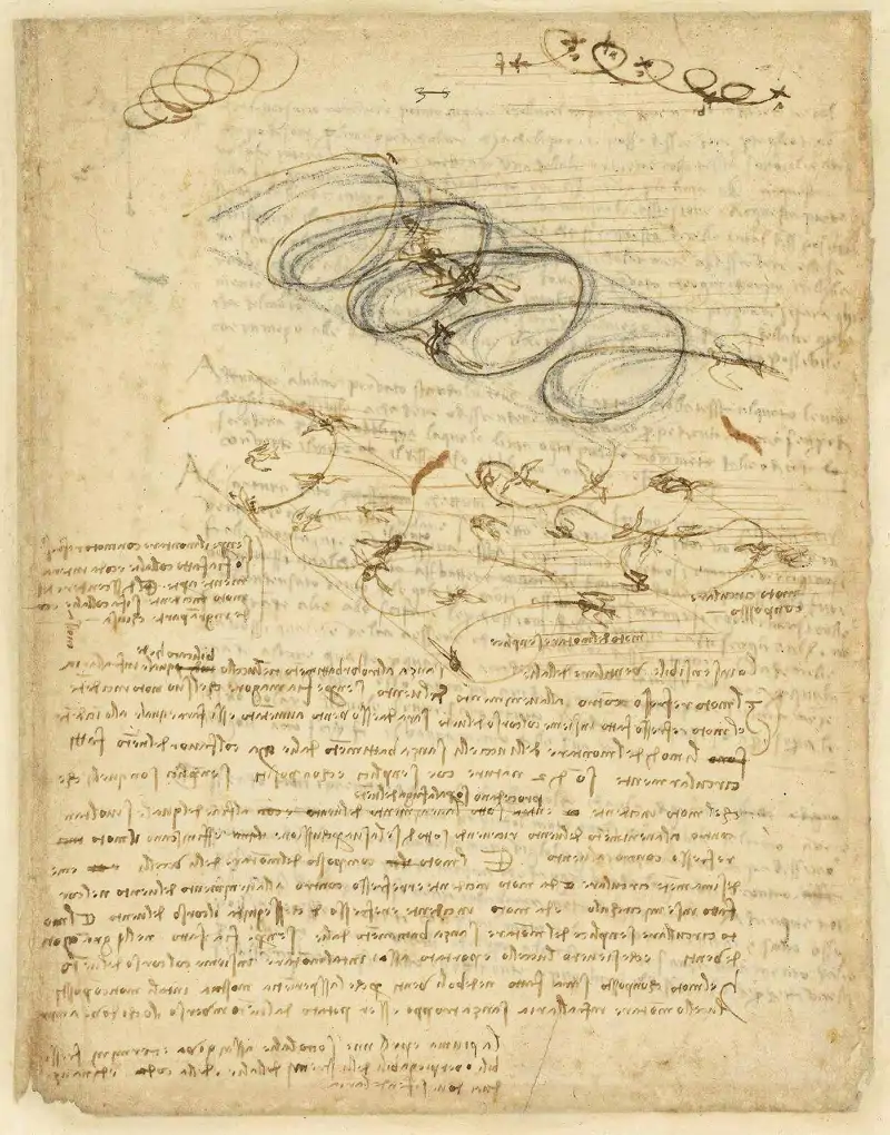 Apuntes de Leonardo da Vinci