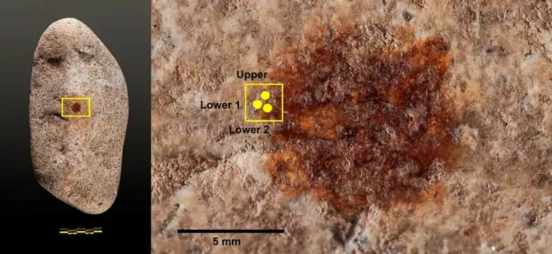 huella neandertal2