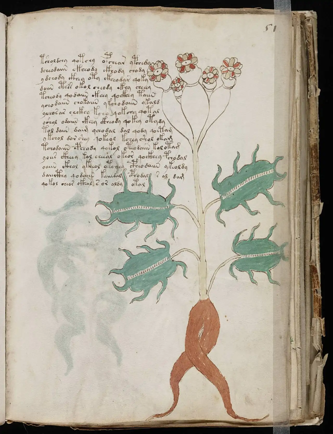 Este misterioso libro ha desconcertado a los investigadores durante más de 110 años