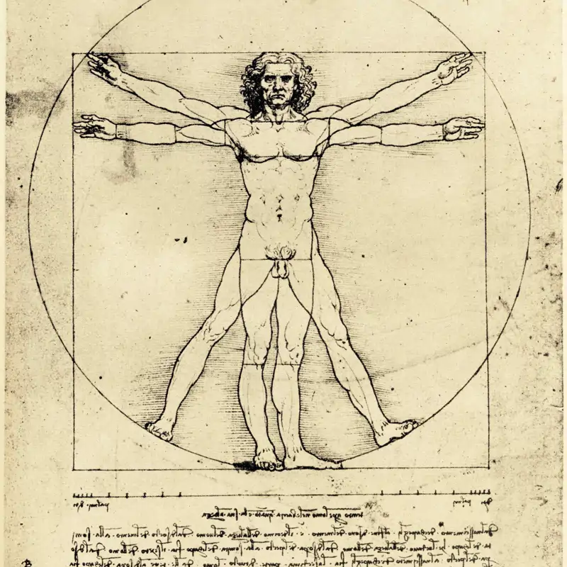 hombre de vitruvio