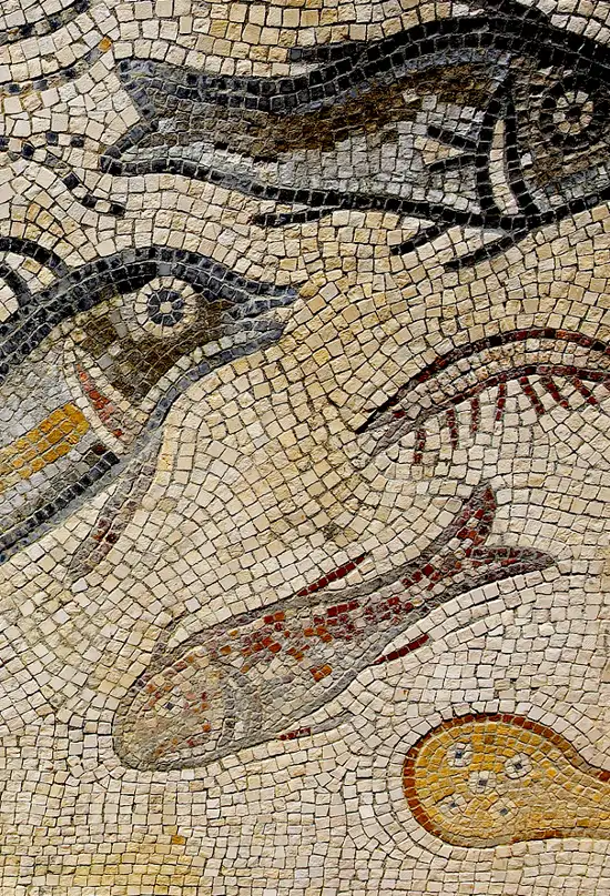 El garum encontrado en una planta de salazón romana de Pontevedra se elaboraba con sardinas europeas