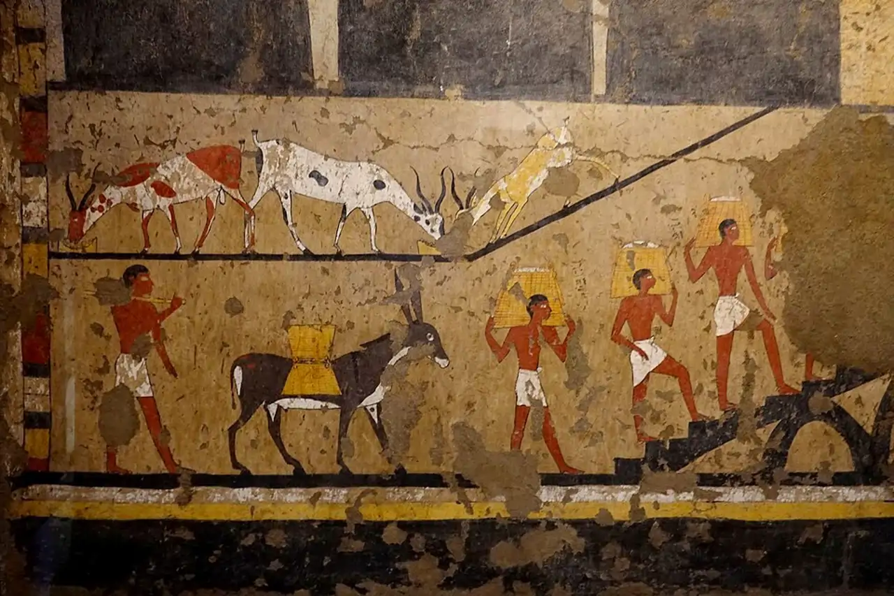 Selena gomez pussy Selena Gomez channeled a ballerina