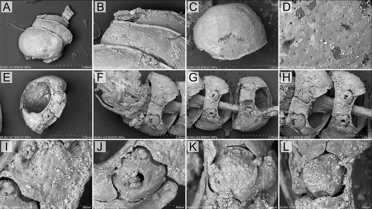 Sexy sticker when I saw Hyeri was visiting Charlotte and