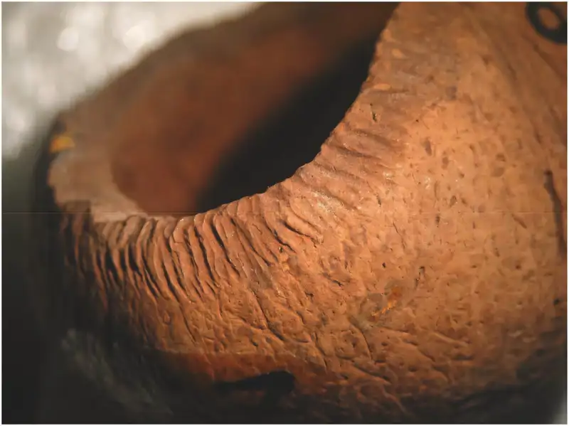 semilla roida por rata