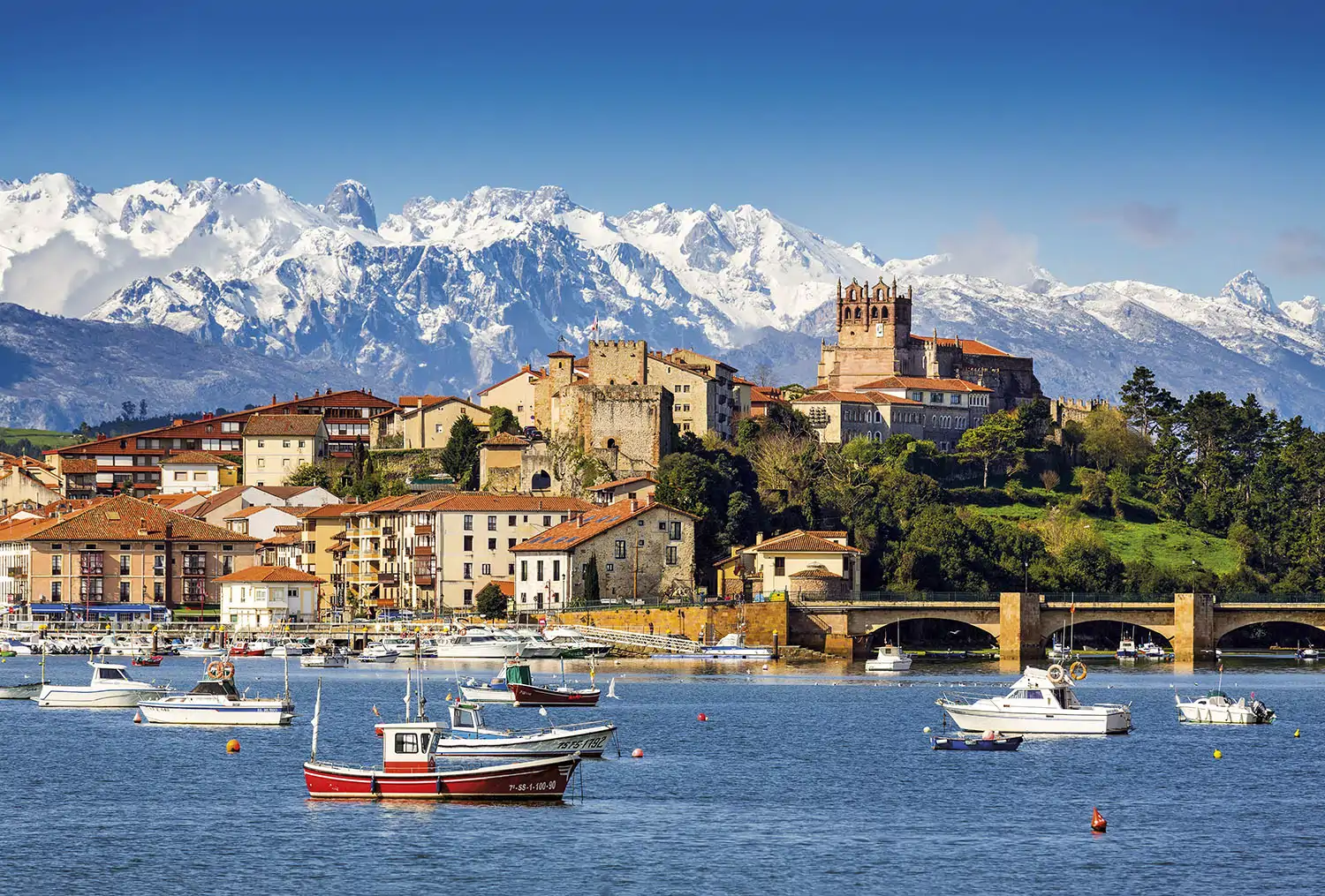 Alfonso I de Asturias: el rey bajo la sombra de Don Pelayo