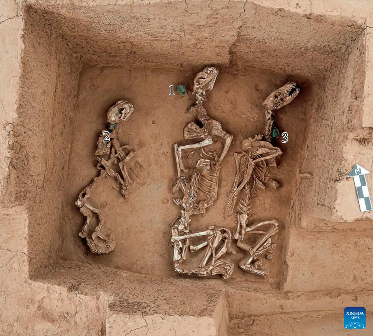 Descubren en China un "zoológico" real de hace 3.000 años con tigres, grullas, leopardos o halcones