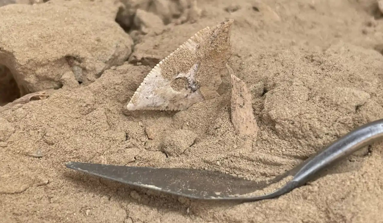 El misterio de Wadi Nafūn: la comunidad que cazaba grandes tiburones en pleno desierto de Omán