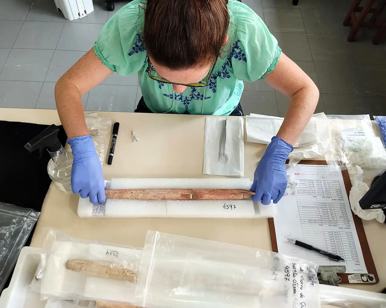 Hallan la evidencia más antigua de la caza de ballenas en un lugar inimaginable