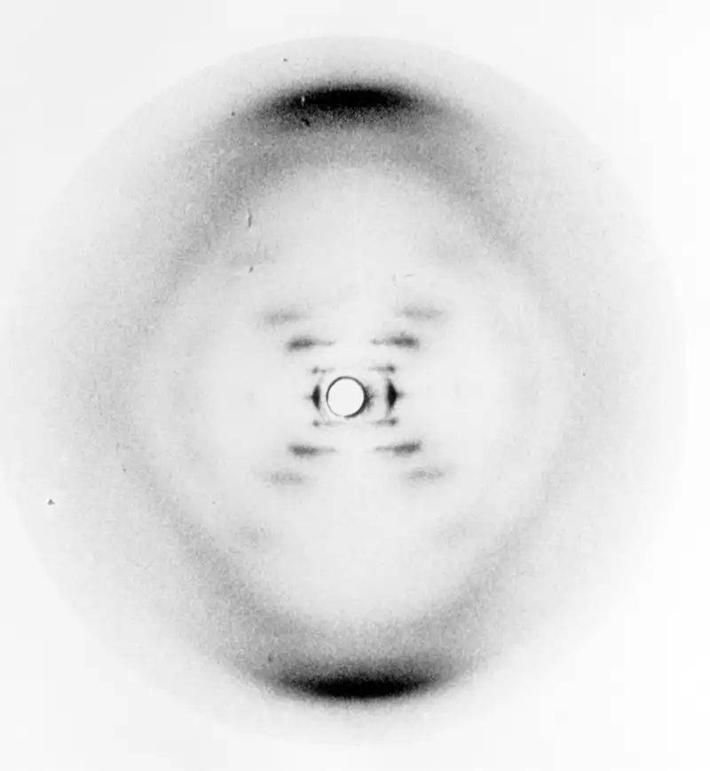 Una fotografía de difracción de rayos X de ADN (ácido desoxirribonucleico) realizada en mayo de 1952, obtenida por los investigadores del King's College de Londres Rosalind Franklin y Raymond Gosling. Esta imagen se conoce comúnmente como 'Foto 51' y es de la forma beta (forma b) del ADN. Para tomar esta fotografía, se dispersa un haz de rayos X sobre una placa fotográfica, permitiendo examinar di