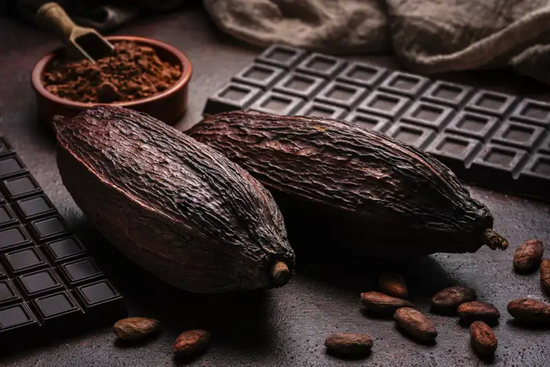 cacao