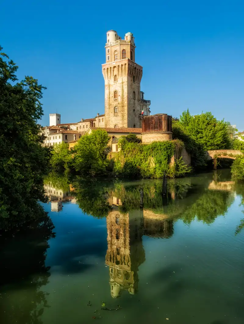 AdobeStock 232471046