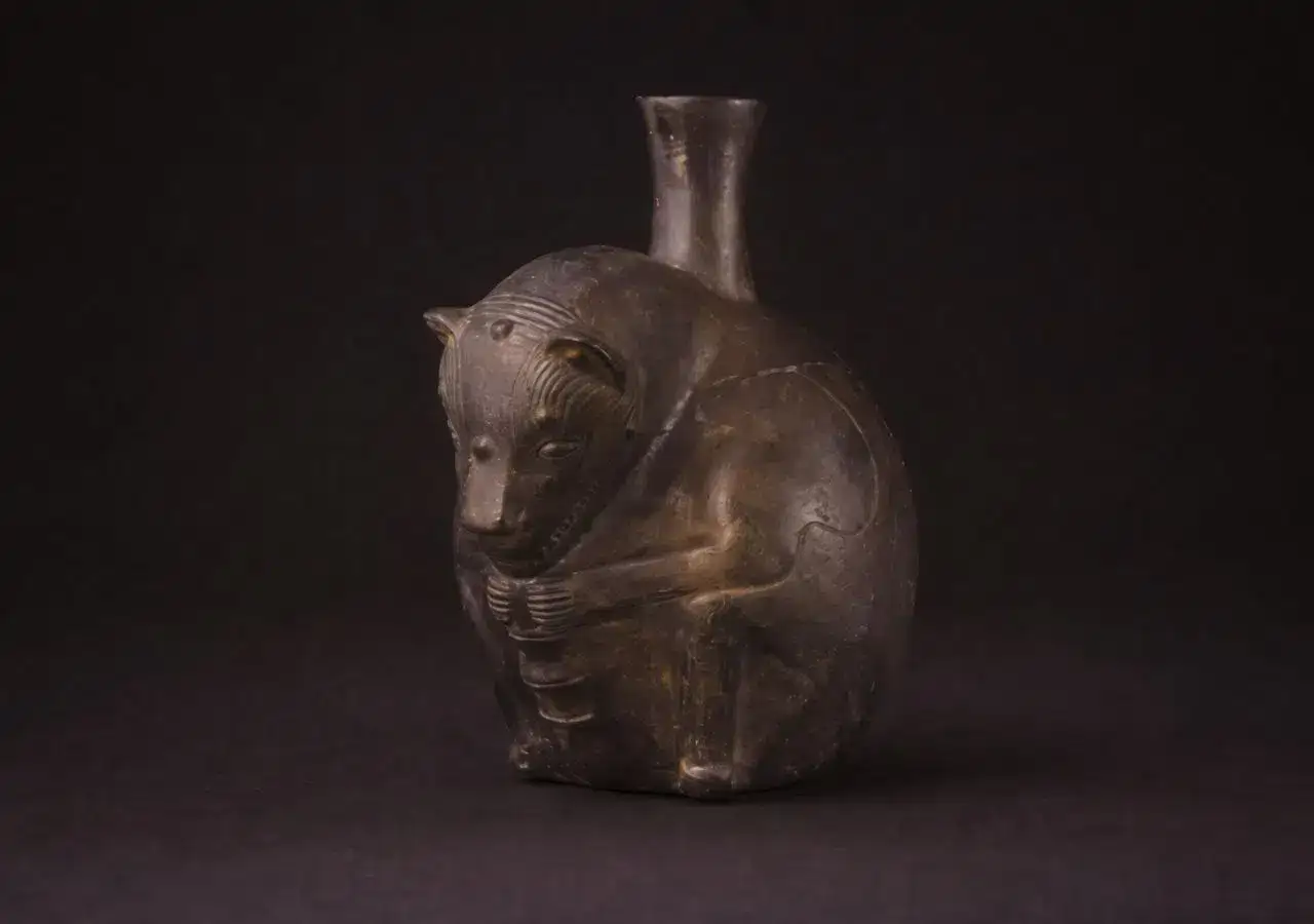 Per� desentierra las primeras pruebas f�sicas de los perros sin pelo del Imperio Wari