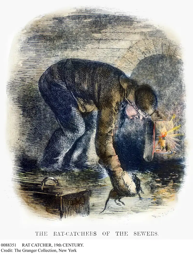 rat catcher