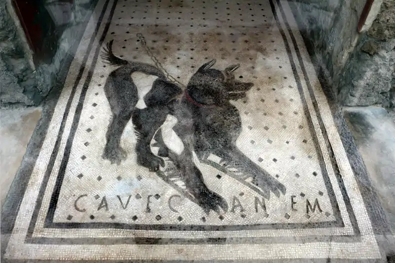 Cave Canem