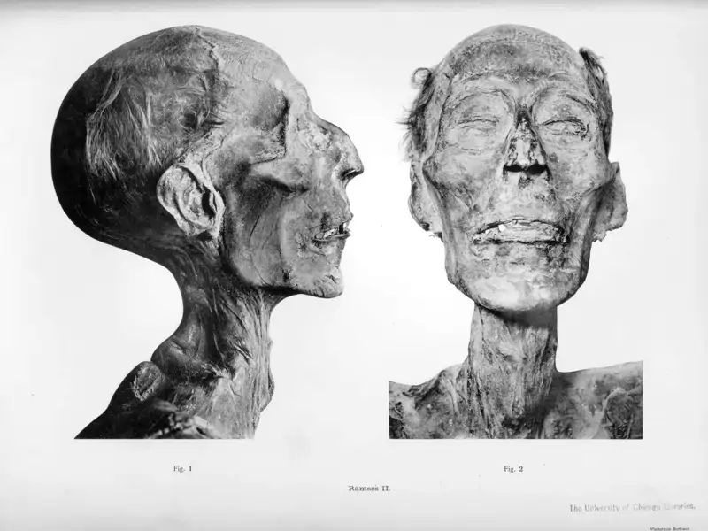 Fotografía de perfil y de frente del rostro de la momia de Ramsés II. Catálogo General de Antigüedades Egipcias del Museo de El Cairo: Las Momias Reales, G. Elliot Smith.