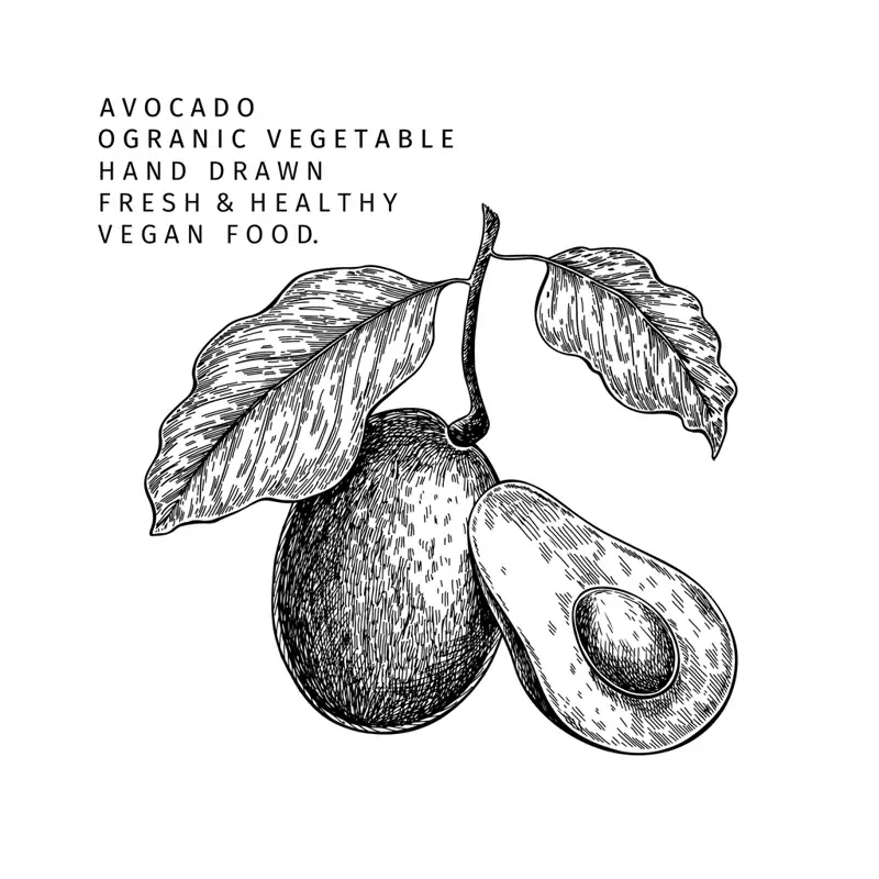 aguacate2