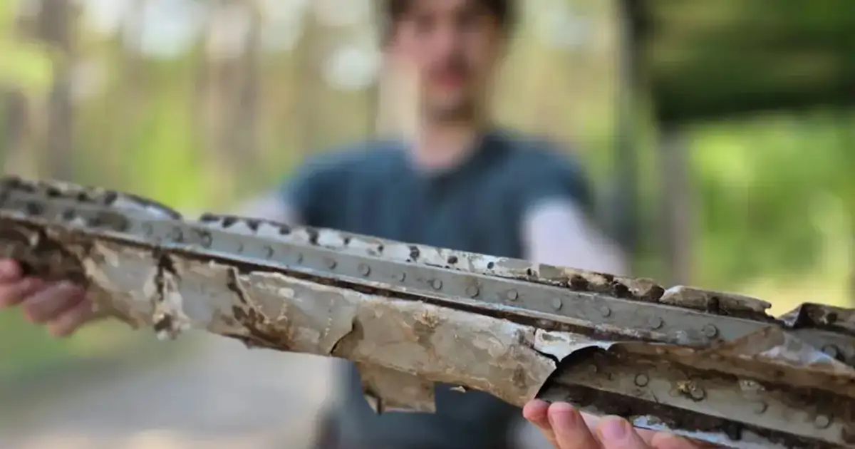 Una excursión en un bosque de Polonia acaba con el hallazgo de un avión desaparecido en la Segunda Guerra Mundial