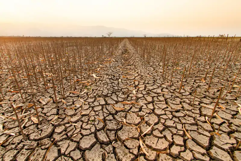 tierra cambio climático